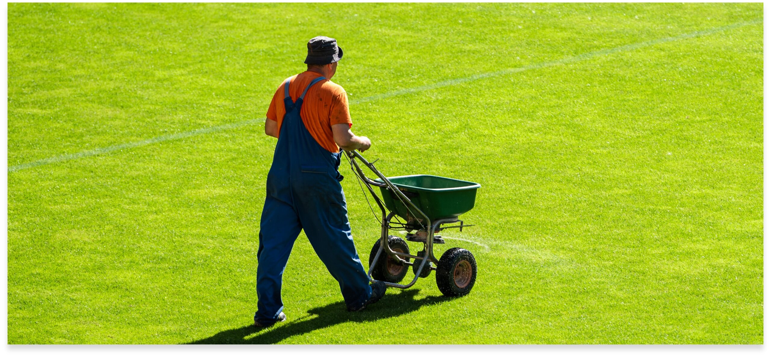 Terrains Sportifs